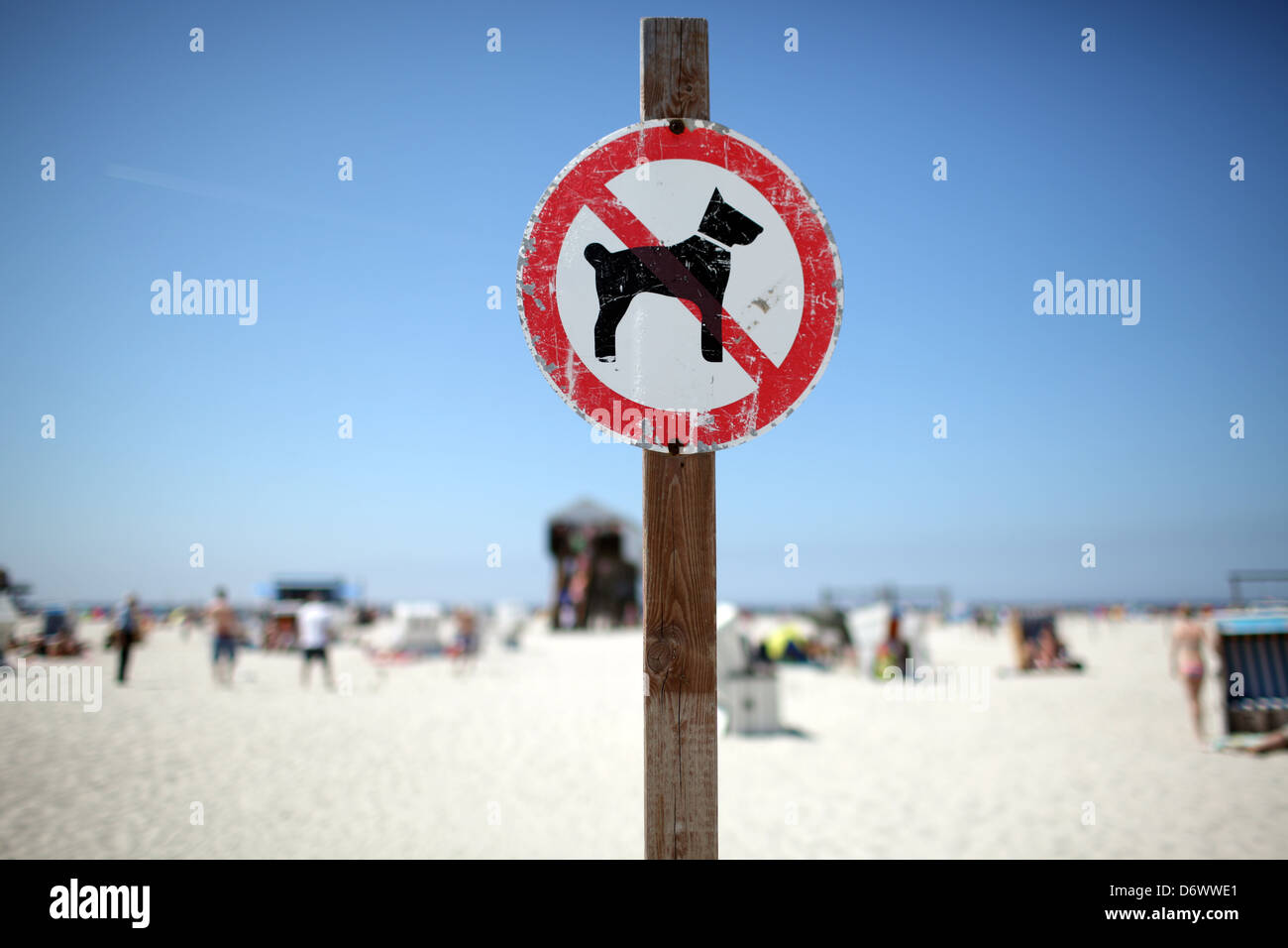 Sankt Peter-Ording, Deutschland, Hunde erlaubt am Strand Stockfoto