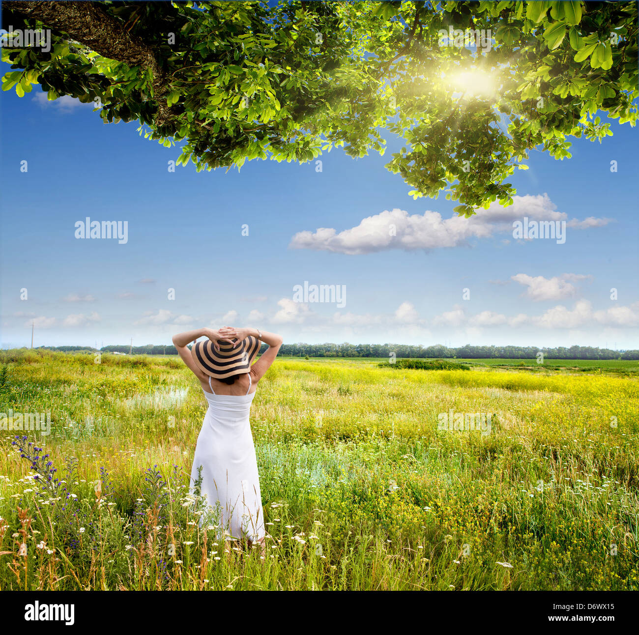Mädchen auf einer Wiese unter einem Baum Stockfoto