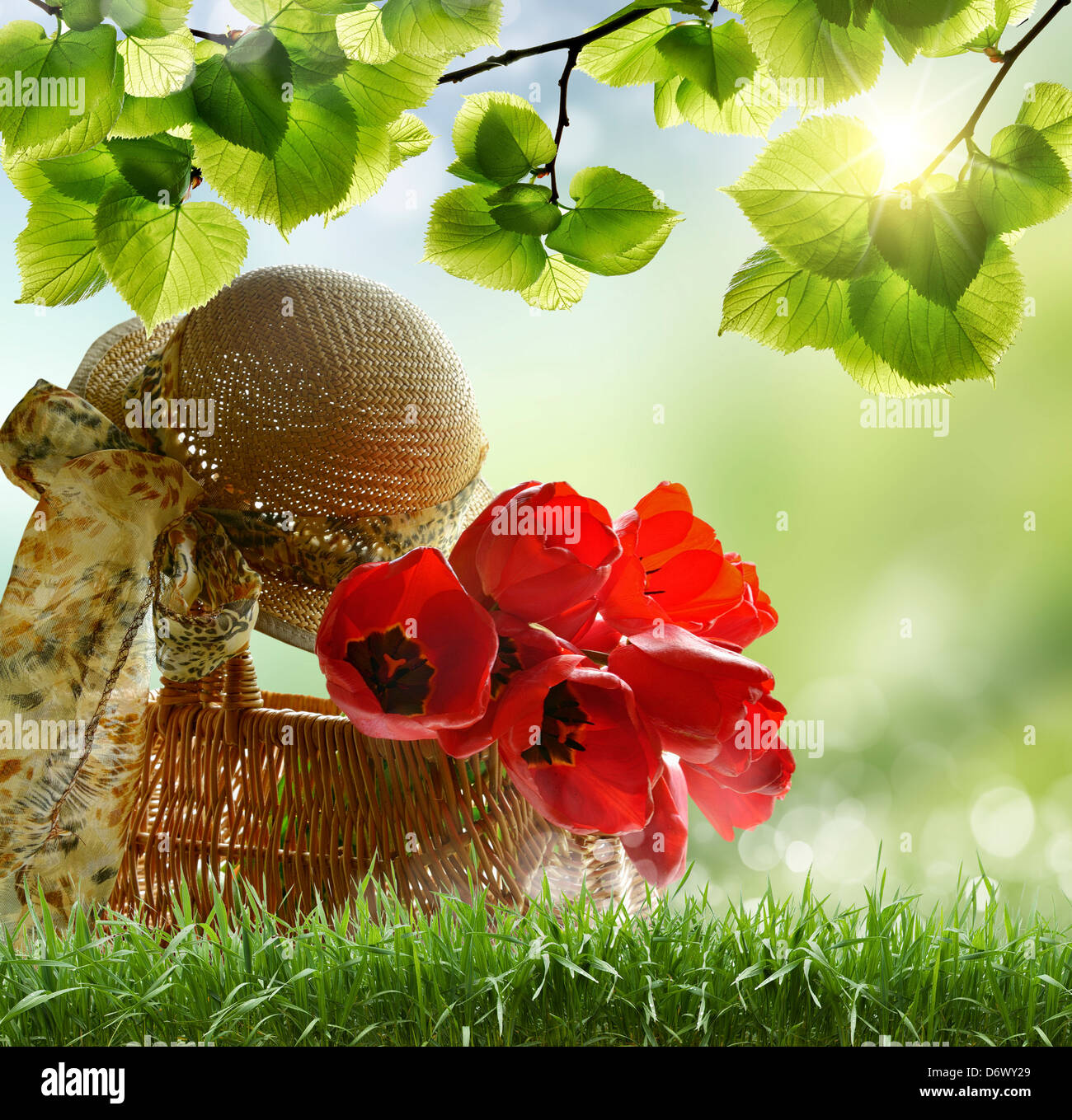 Warenkorb Styulpanami und Damenhut auf Natur Stockfoto