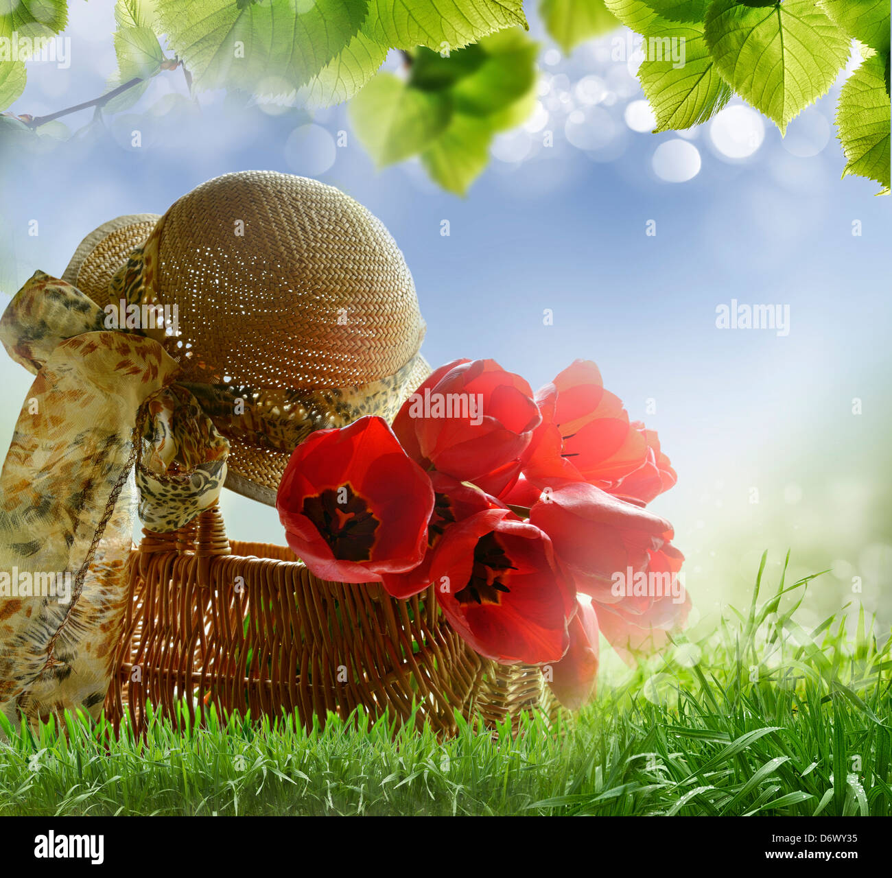 Korb mit Tulpen auf dem Rasen. Stockfoto