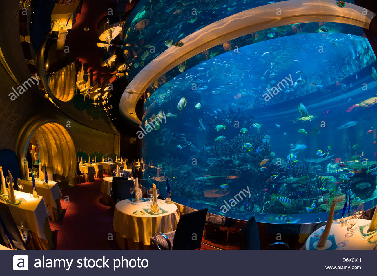 Das Unterwasser Unter Dem Motto Al Mahara Restaurant Im Burj