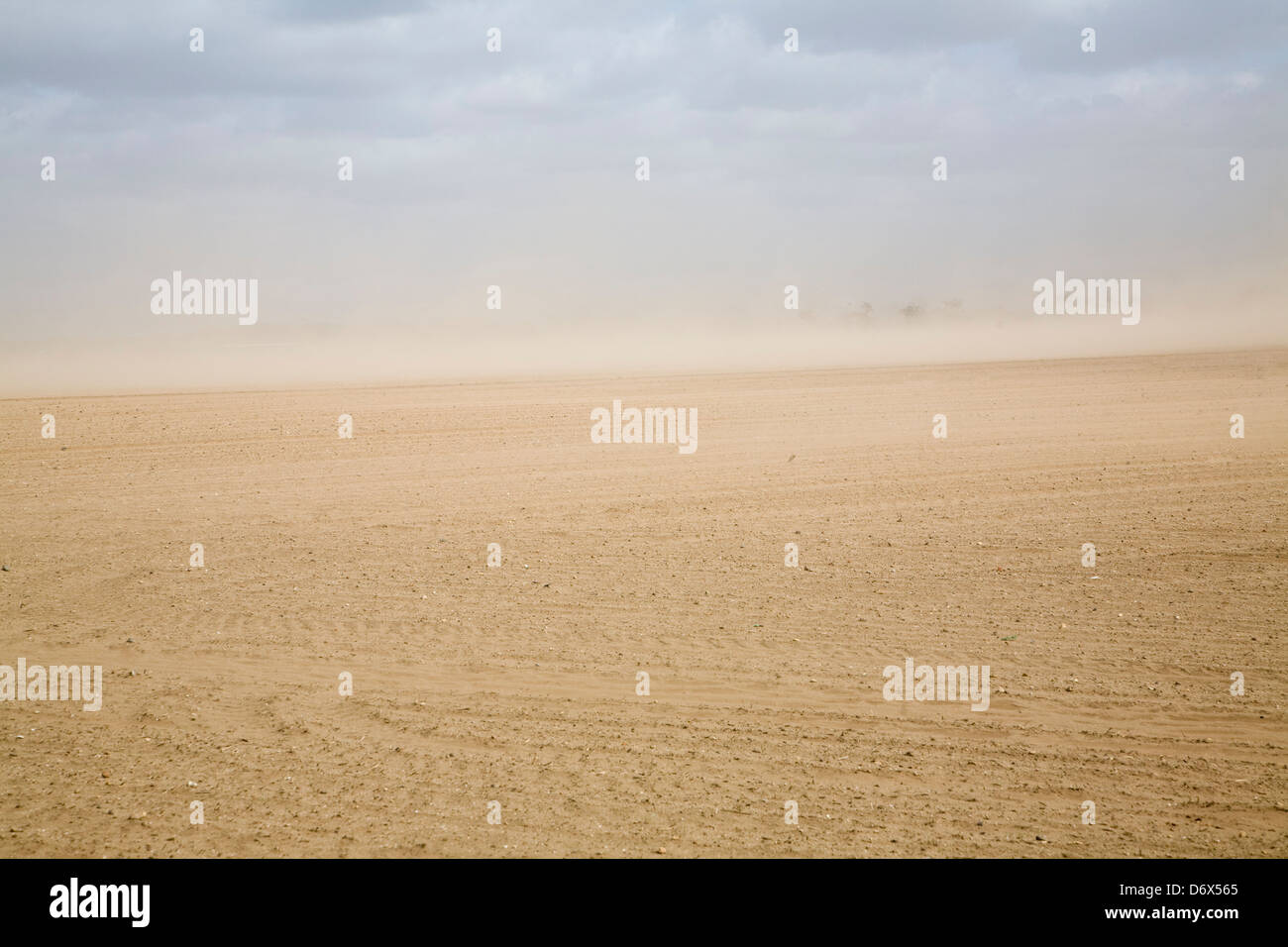 Wind verursacht Bodenerosion in Felder, Suffolk-Sandlings Stockfoto