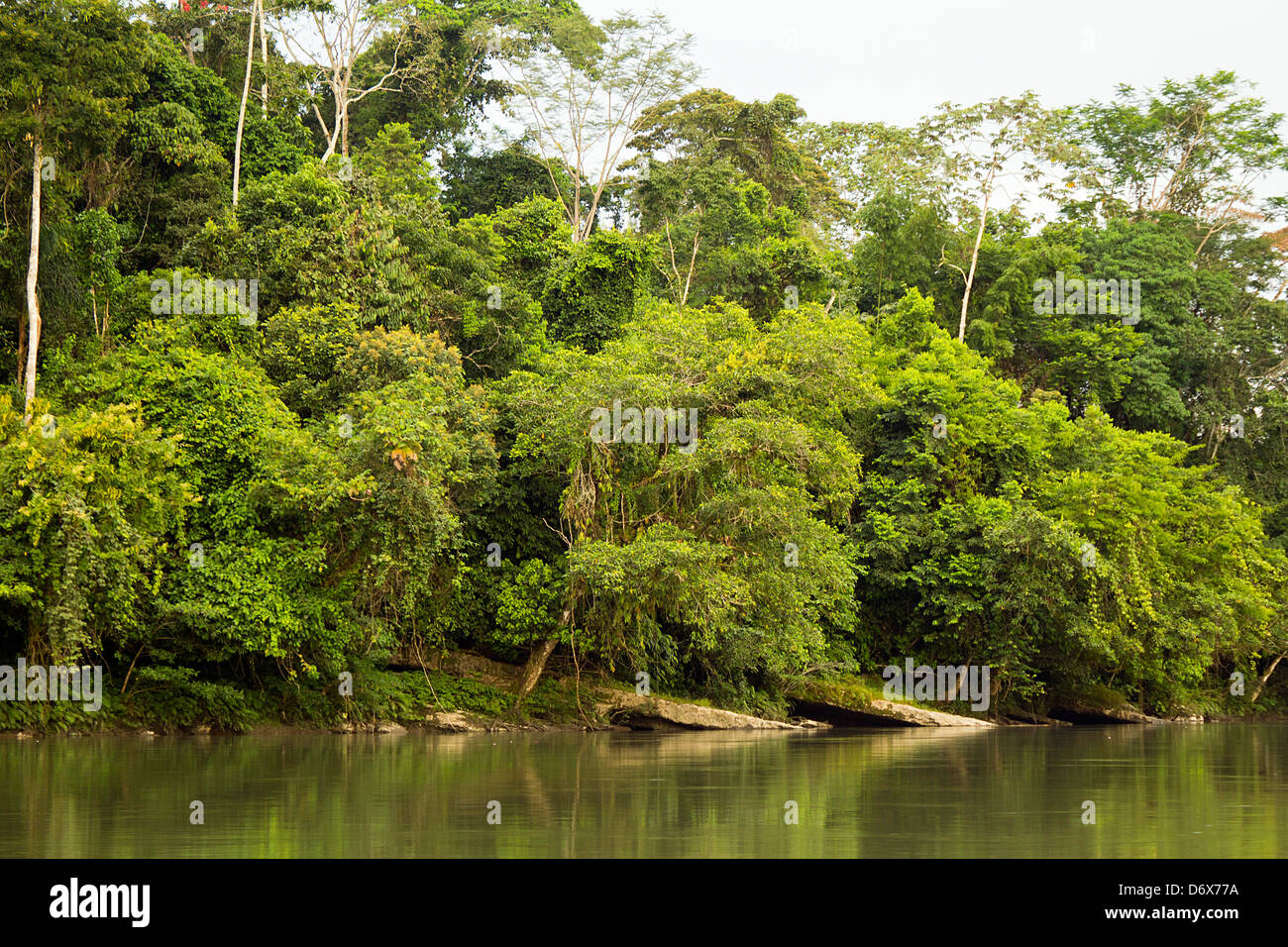 Rio Napo im oberen Amazonas in der Nähe von Misahualli, Ecuador mit Kalkstein Schichten, Teil der Hollin Bildung. Stockfoto
