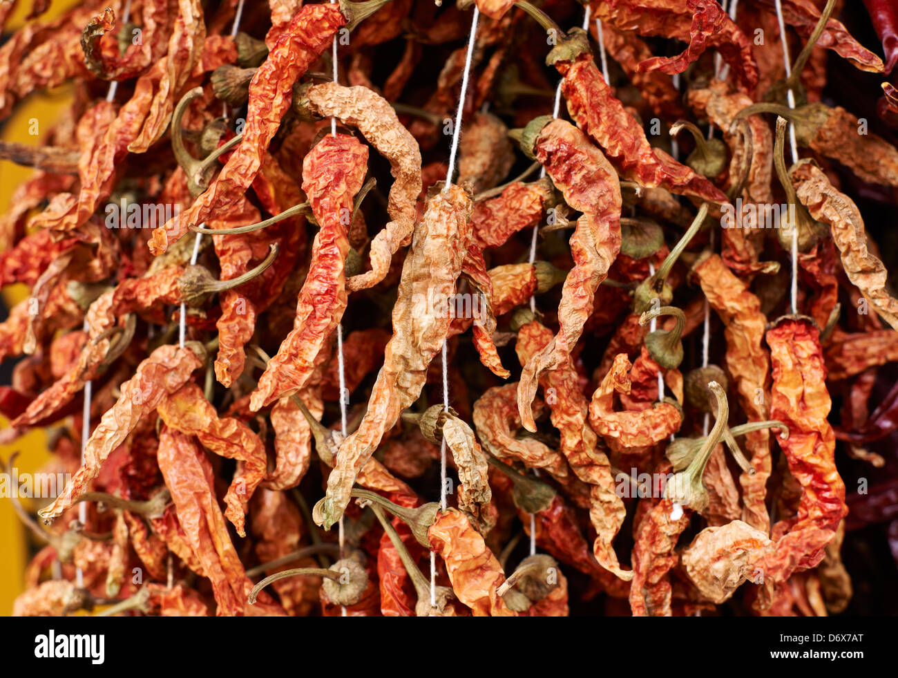 Getrocknete rote Chilischoten Inverkehrbringen Edirne, Türkei. Sehr Hot Peppers. Stockfoto