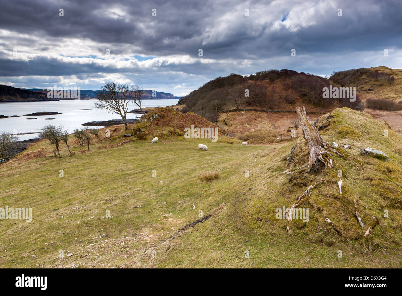 Insel Kerrera, Argyll and Bute, Scotland, UK, Europa. Stockfoto