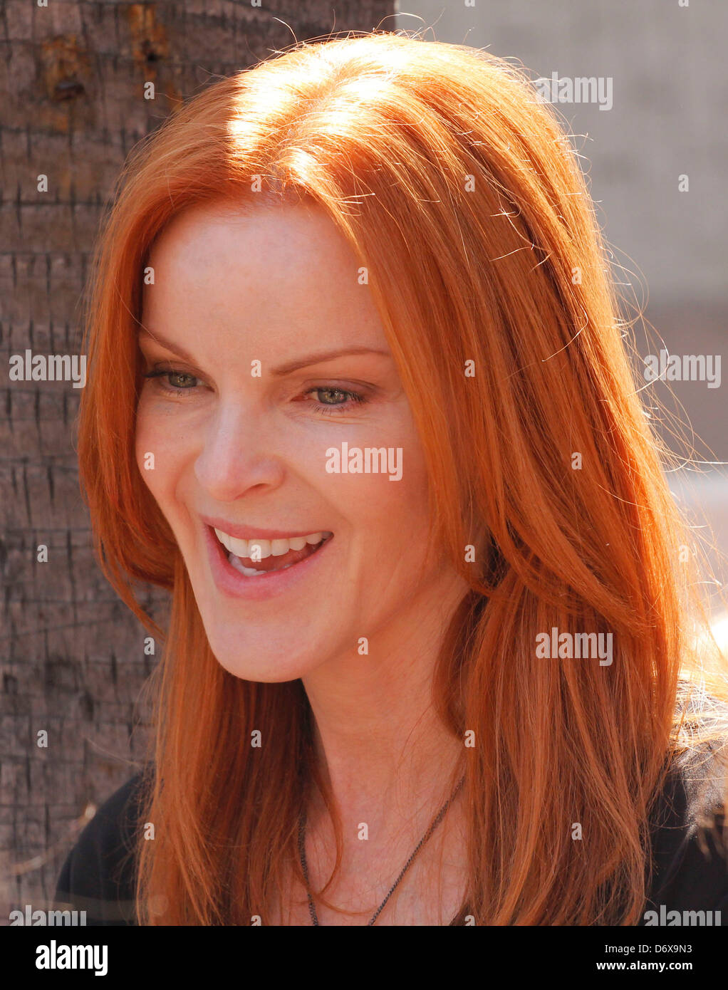 Marcia Cross Felicity Huffman und ihr Mann William H. Macy sind mit Sternen auf dem Hollywood Walk of Fame Induction geehrt. Stockfoto