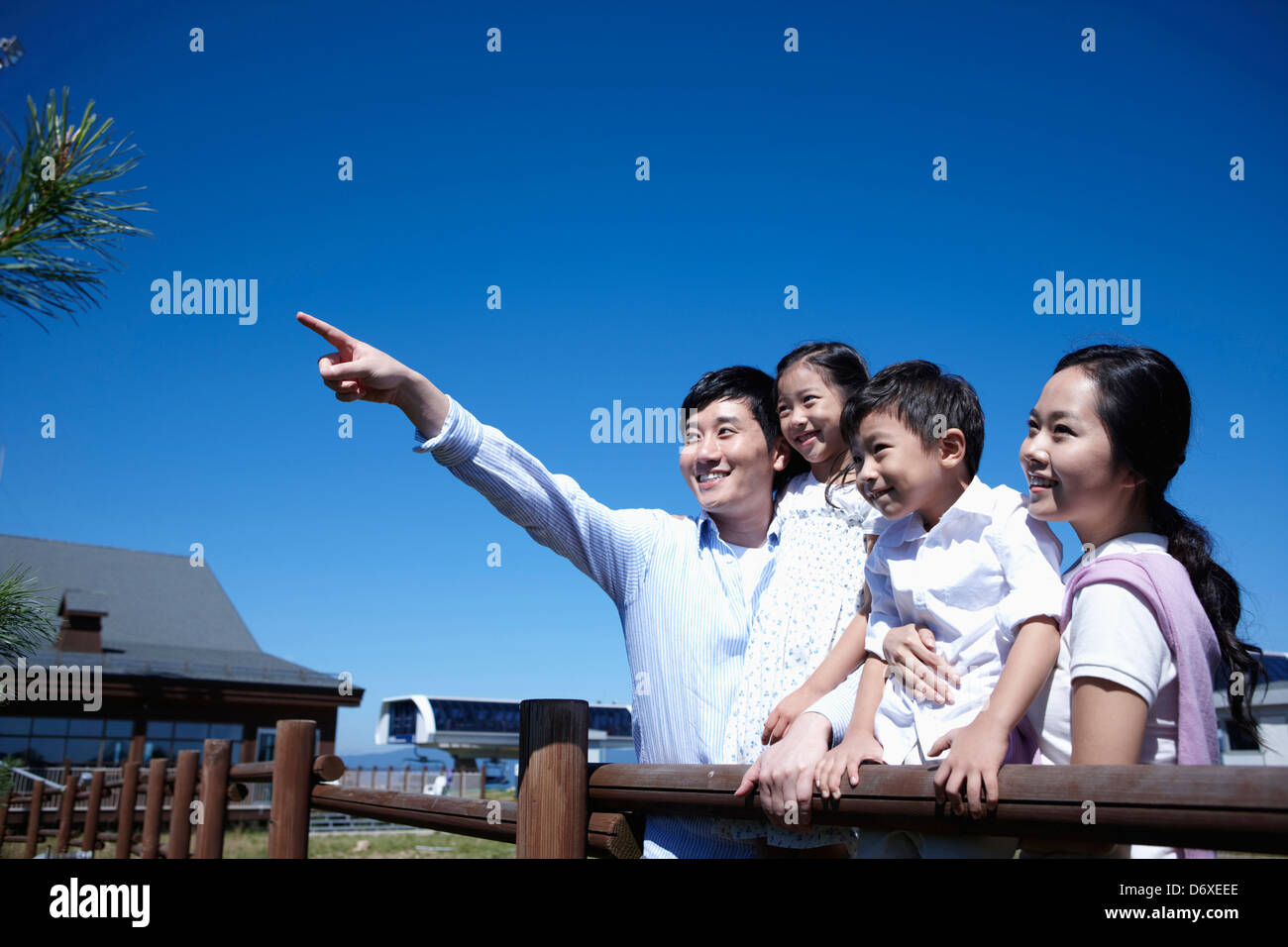 Familie innerhalb einer Schaf-Weide Stockfoto