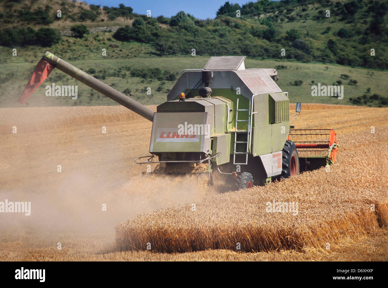 Erntezeit, kleine Harvester schneiden Weizen zu kombinieren. Hertfordshire, UK Stockfoto