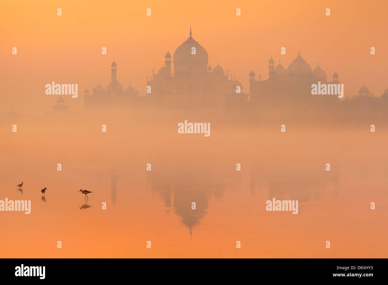 Skyline von Taj Mahal, Agra, Uttar Pradesh, Indien Stockfoto