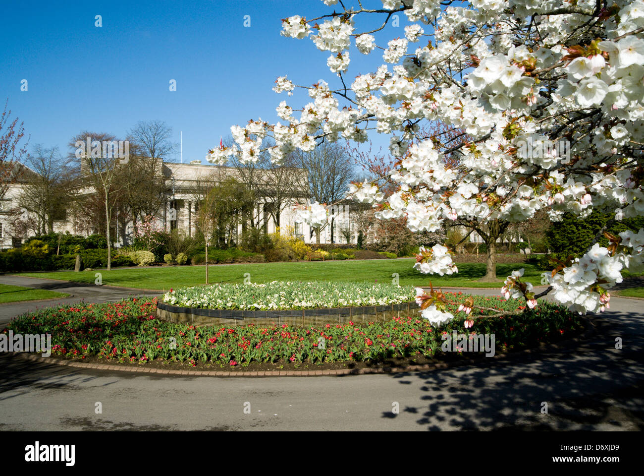 Alexandra Gardens, Cathays Park, Cardiff, Wales. Stockfoto