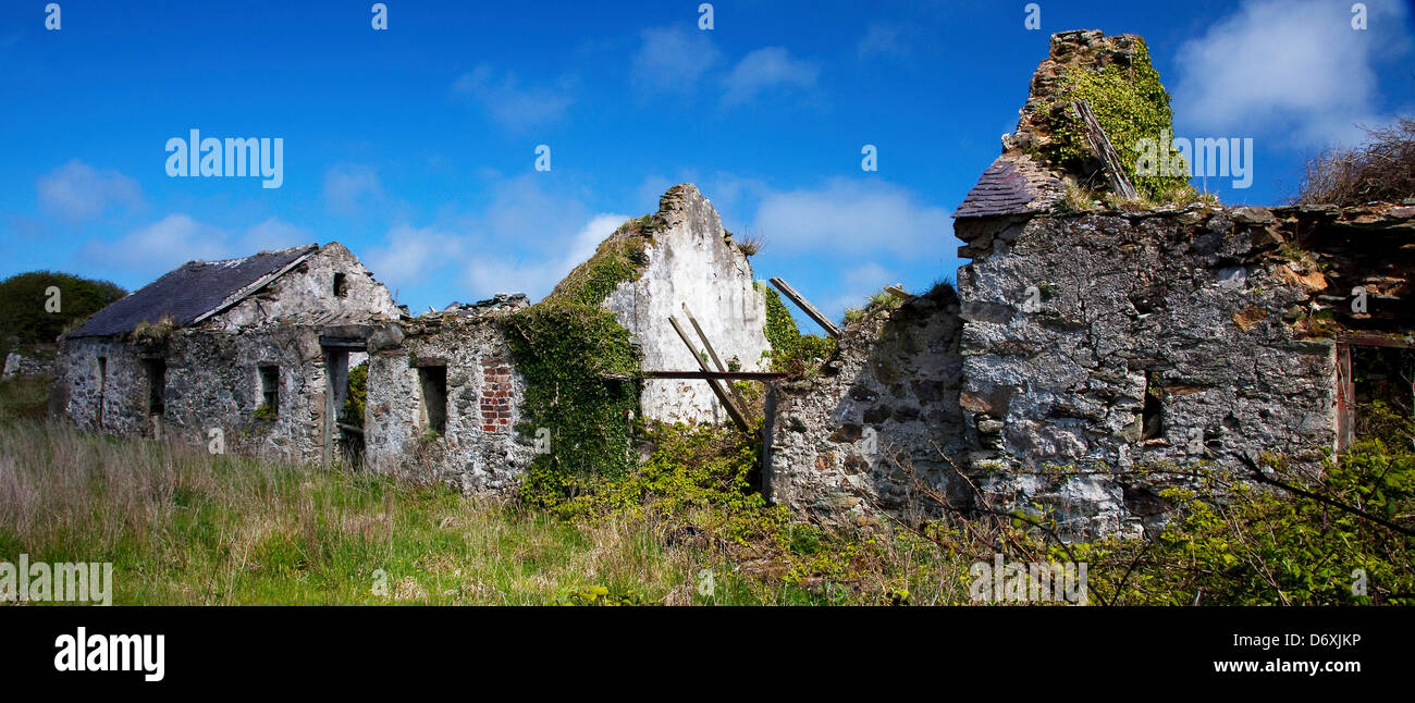 Zerstörten Bauernhaus inmitten eines verwilderten Land Anglesey Wales Stockfoto