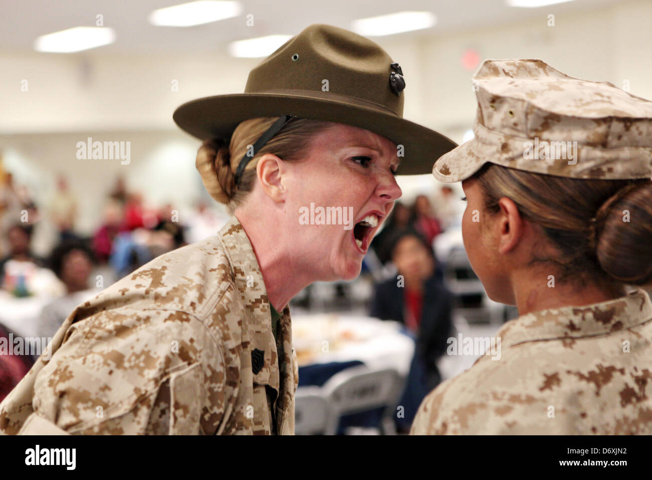 Ein US Marine Corps Drill Instructor schreit ein Marine-Rekrut während Boot Camp im Camp Johnson 31. März 2011 Jacksonville, NC. Stockfoto