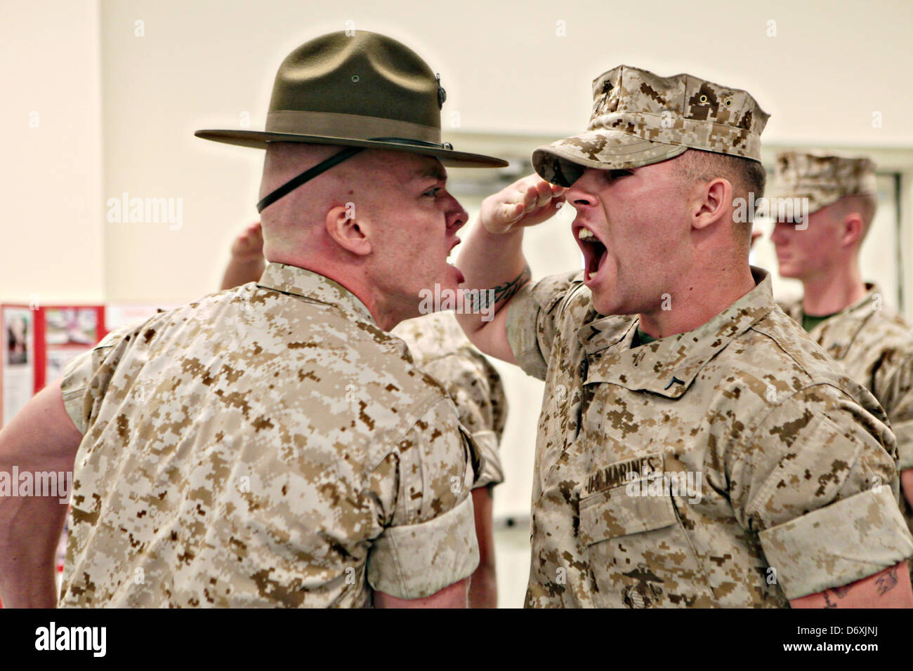 Ein US Marine Corps Drill Instructor schreit ein Marine-Rekrut während Boot Camp im Camp Johnson 31. März 2011 Jacksonville, NC. Stockfoto