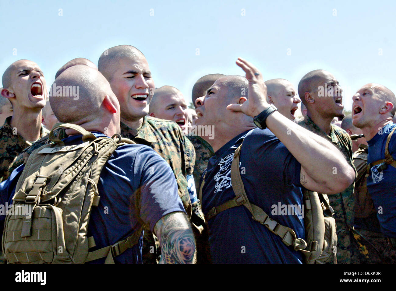 US Marinekorps Bohrgerät Lehrer schreit ein Marine-Rekrut während Bootcamp im Marine Corps Recruit Depot 13. März 2013 in San Diego, Kalifornien. Stockfoto