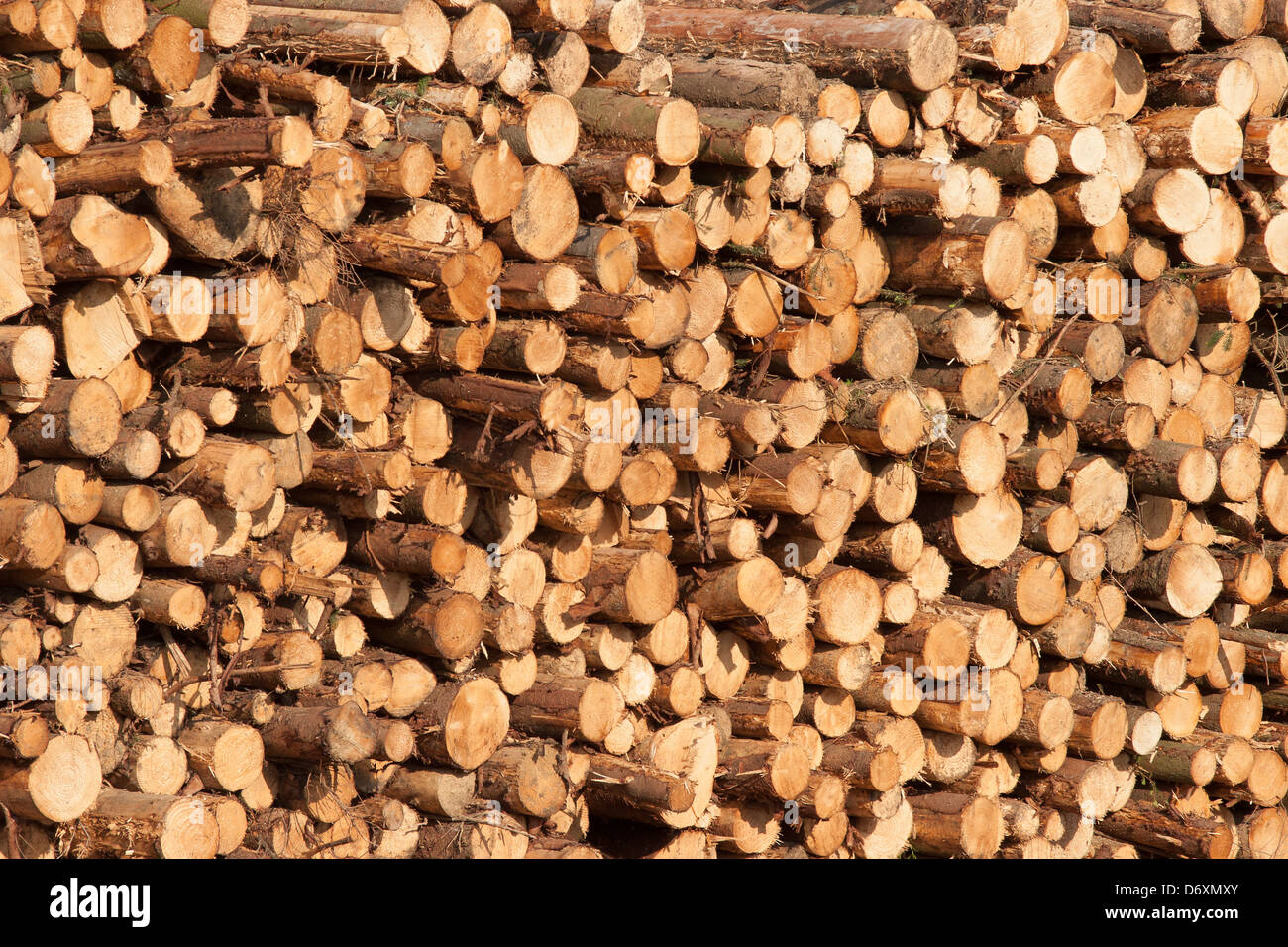 Stapel von hölzernen Maschinenbordbüchern Stockfoto