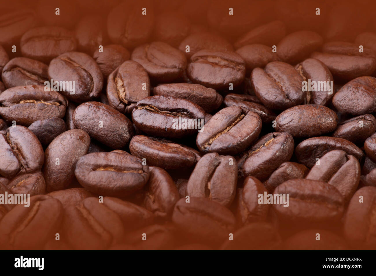 Kaffeebohnen - dunklen braten als Hintergrund, Textur Stockfoto