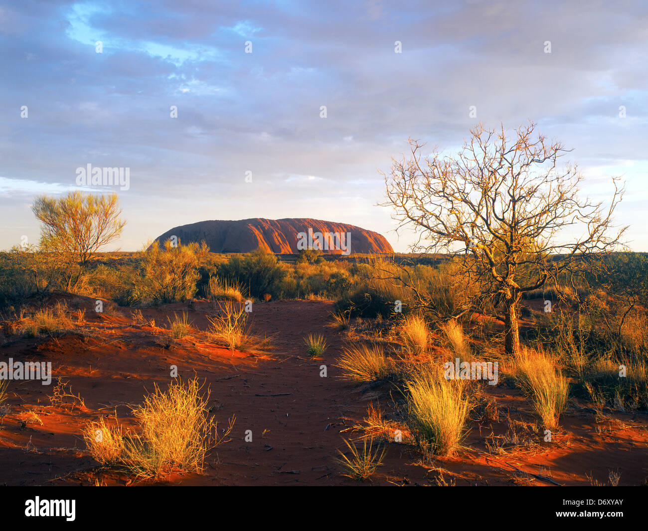 Australien, Northern Territory, Uluru-Kata Tjuta National Park, Blick auf den Sonnenuntergang des Ayers Rock, Uluru Stockfoto