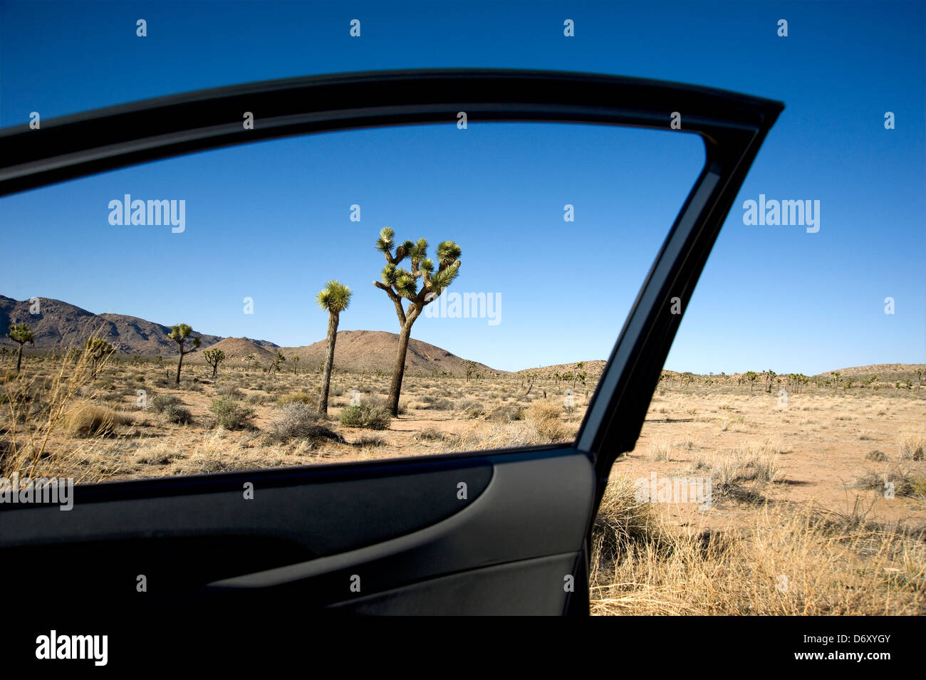 High Desert Landschaft im Joshua Tree National Park in Kalifornien gesehen vom Fenster der offenen Autotür Stockfoto