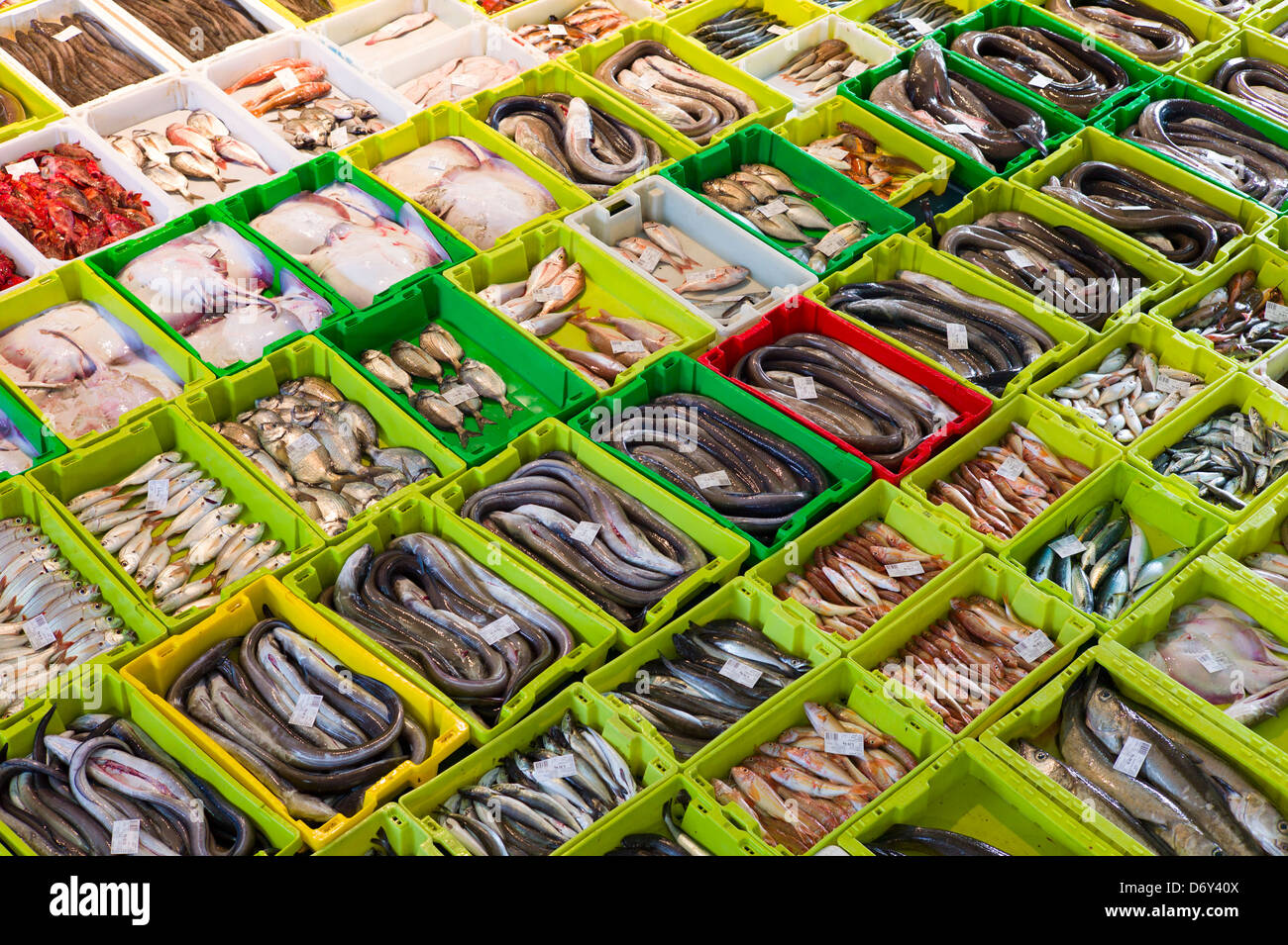 Versteigerung von fangfrischen Fisch am Confradia de Pescadores de Luarca, Bund von Luarca Fischer, Puerto Luarca, Spanien Stockfoto