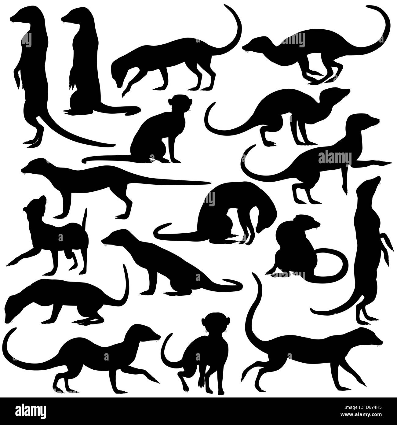 Reihe von illustrierten Silhouetten der Erdmännchen in unterschiedlichen Haltungen Stockfoto