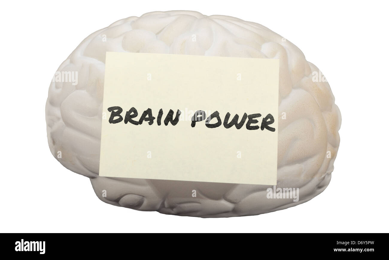 Post-It-Notiz mit den Worten Brain Power auf ein Modell des menschlichen Gehirns. Stockfoto