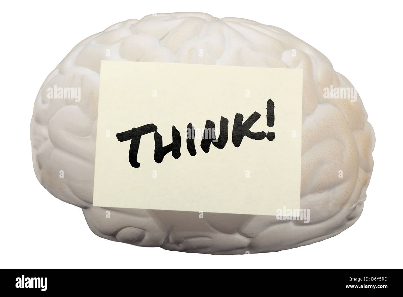 Notizzettel mit dem Wort denken! Modell des menschlichen Gehirns. Stockfoto