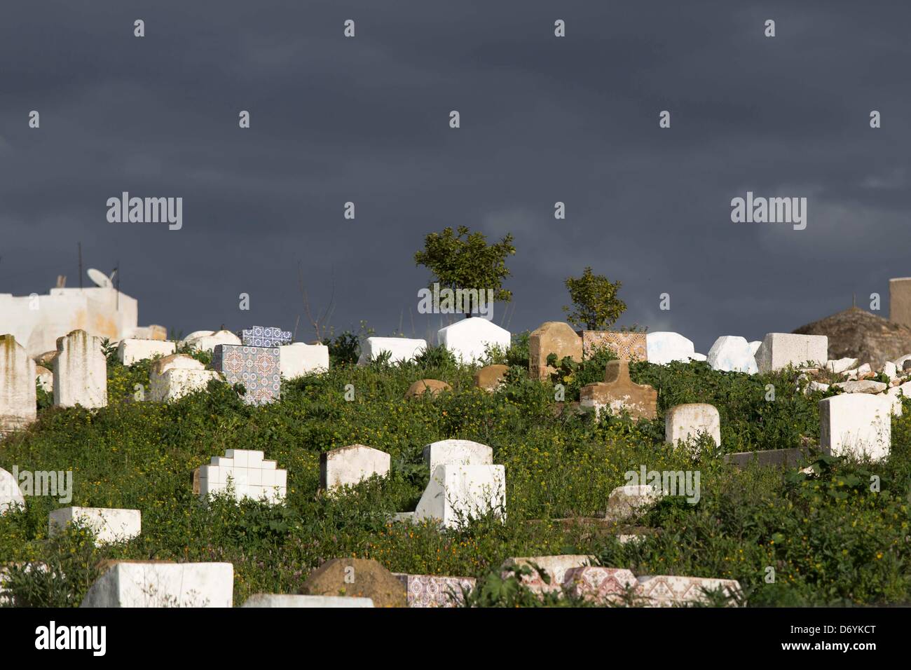 islamischen Friedhof in Meknès, Marokko Stockfoto