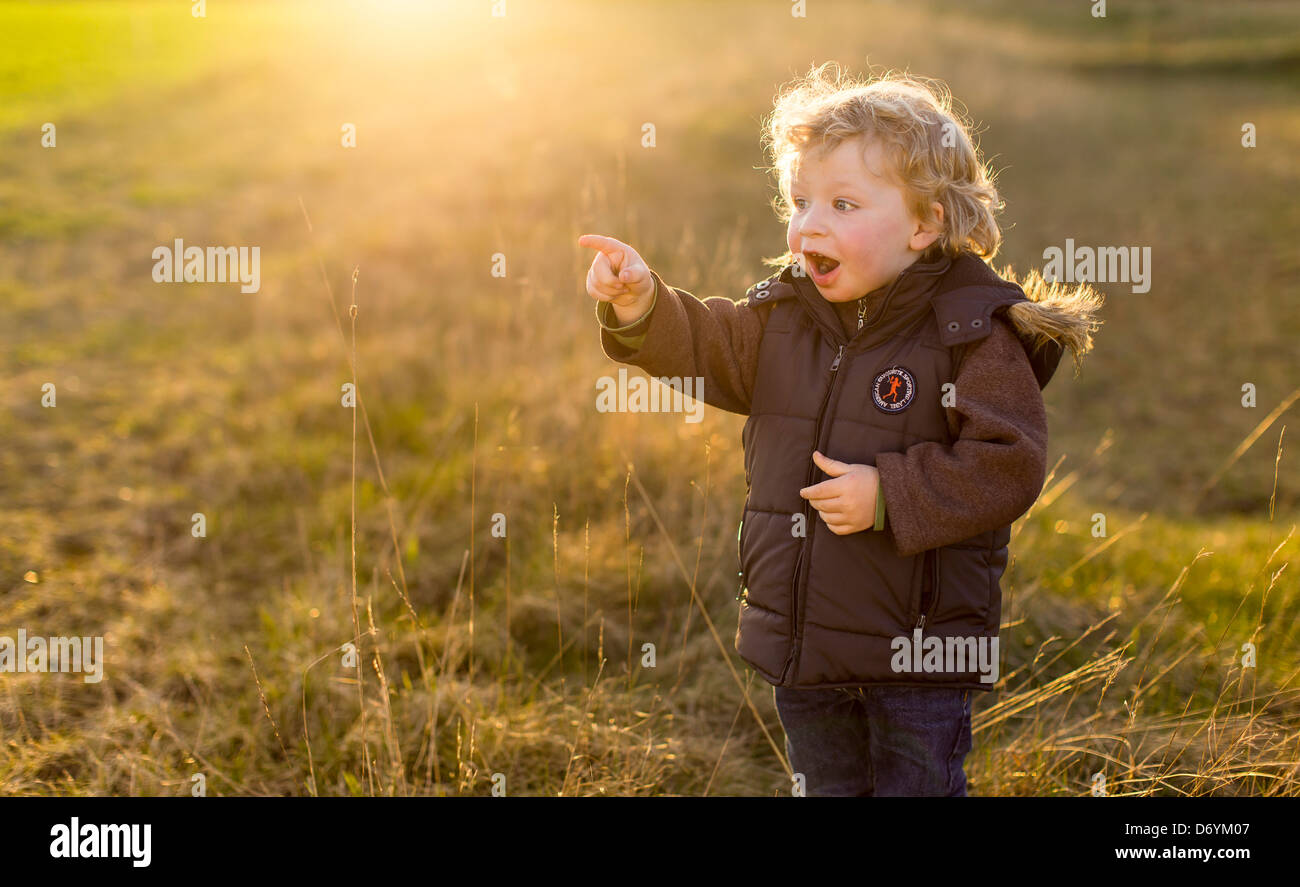 Junge, erstaunt, 2 Jahre, auf einer Wiese in der Abendsonne zeigen etwas auf der linken Seite. Stockfoto