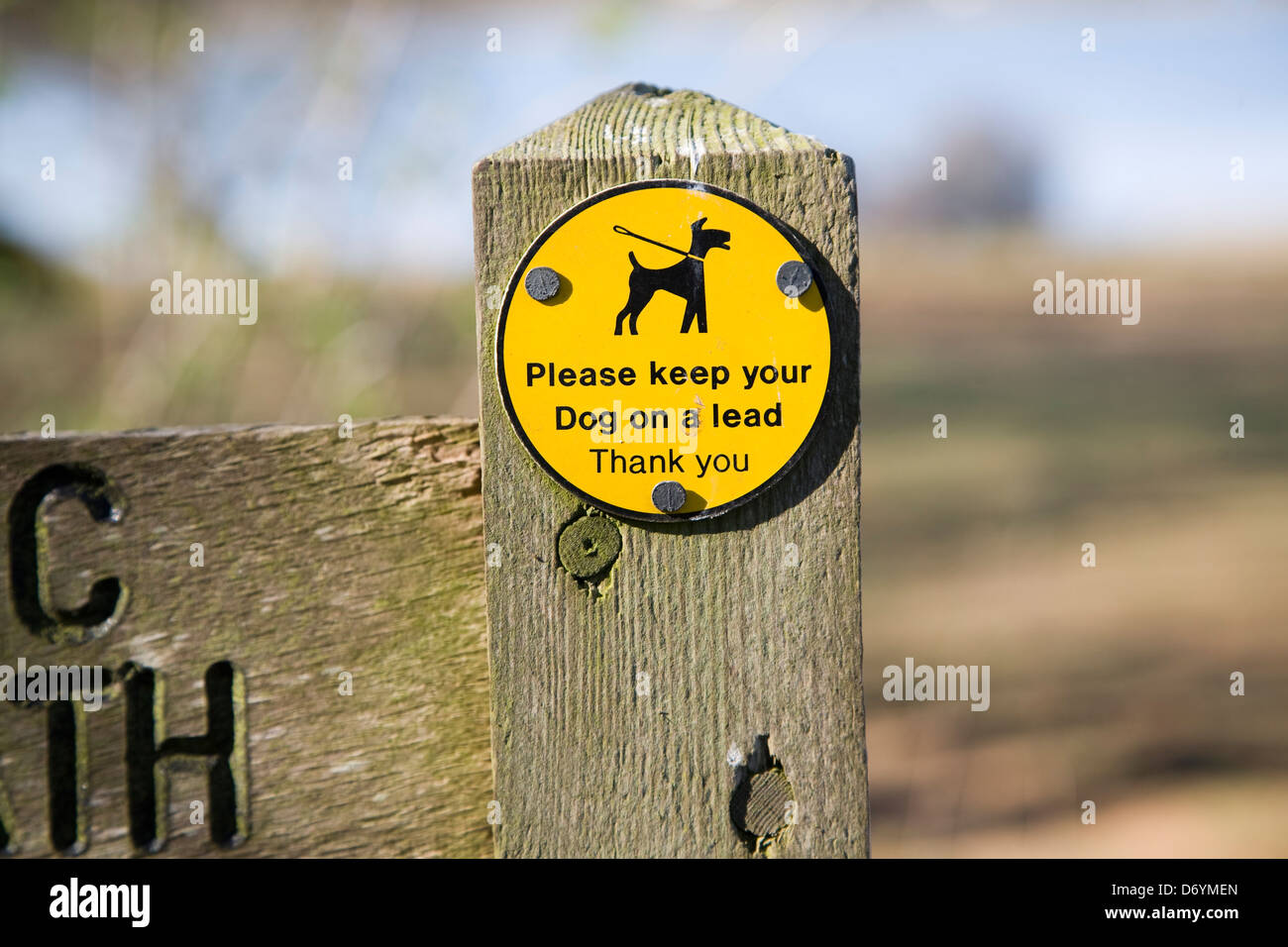 ´Please halten Sie Ihren Hund an der Leine danken Mindgames Zeichen auf öffentlichen Fußweg, UK Stockfoto