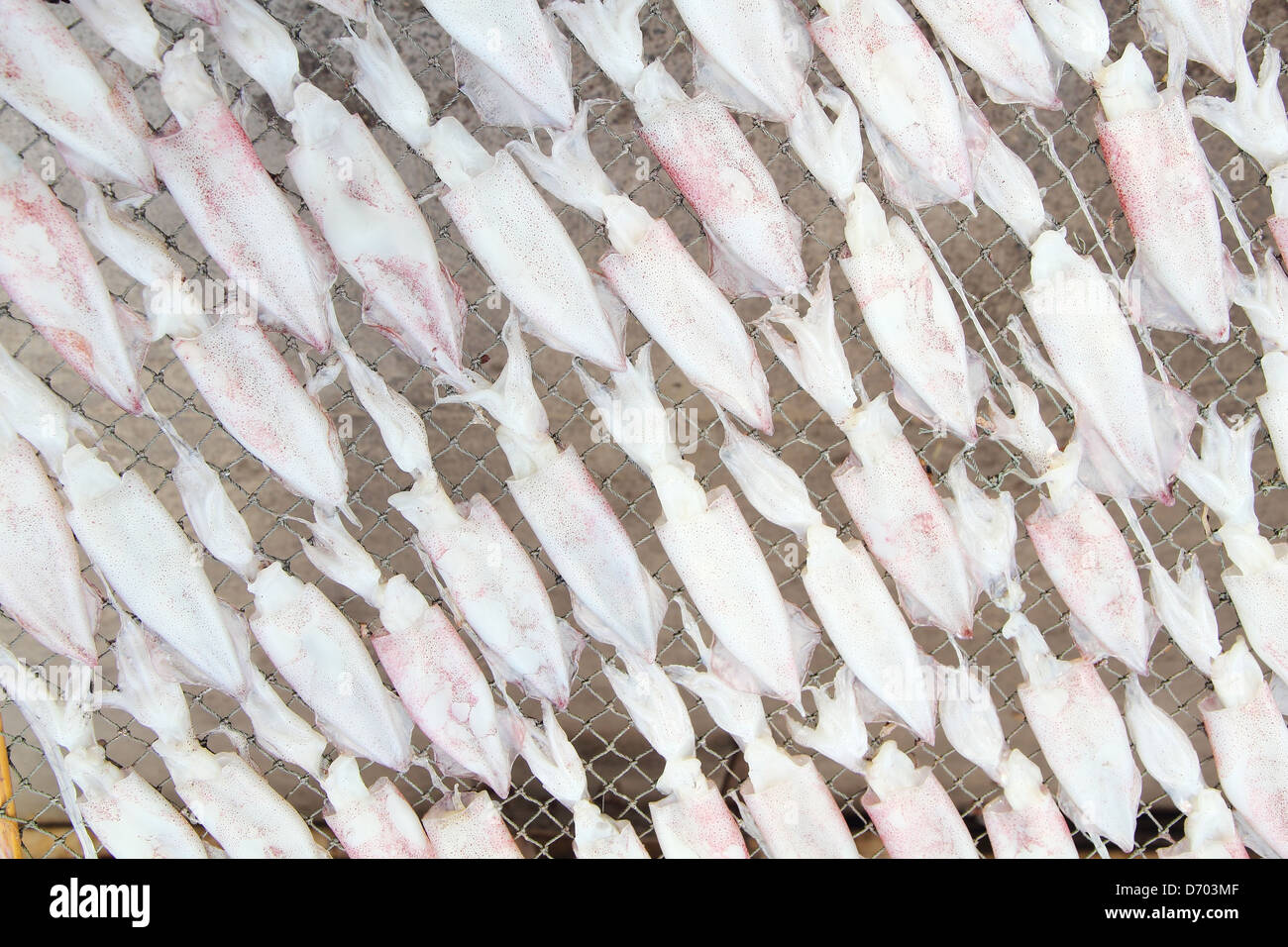 Die getrockneten Tintenfisch. Squid kann mehr gemacht werden. Getrockneter Tintenfisch, die salzig sind. Stockfoto