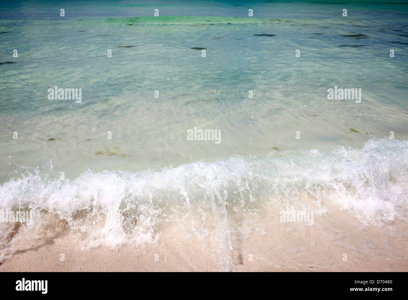 Die weißen Sandstrände, grünes Wasser und blauem Himmel machen Siesta Key No. 1 Strand in Amerika Stockfoto