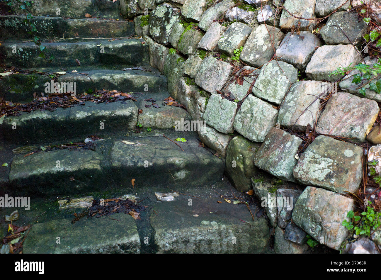 Alten Steintreppen und Wand, Normandie, Frankreich Stockfoto