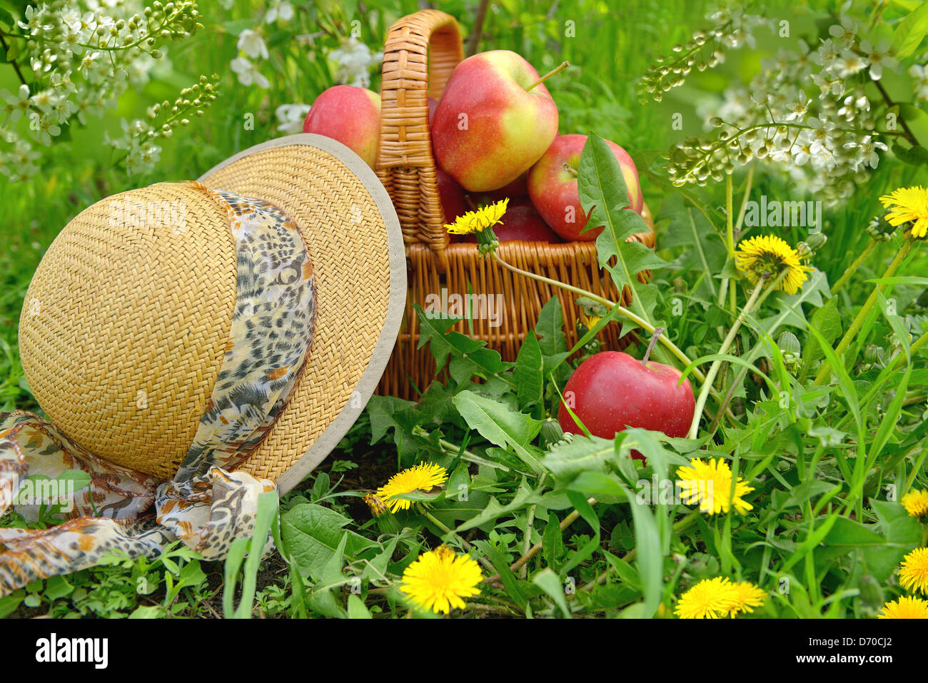 Frisch und bunt Äpfel im Korb, selektiven Fokus Stockfoto