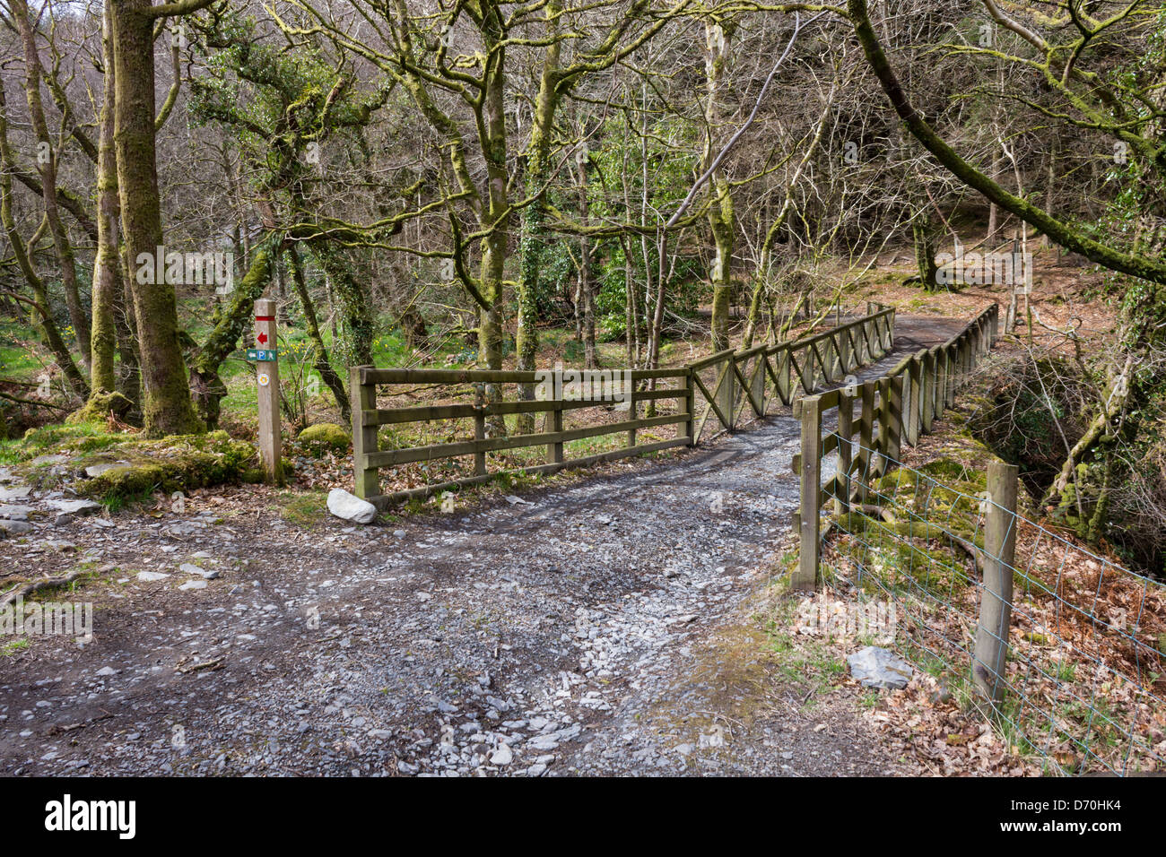 Brücke im Wald in der Nähe von Aberystwyth Hafod gefunden Stockfoto