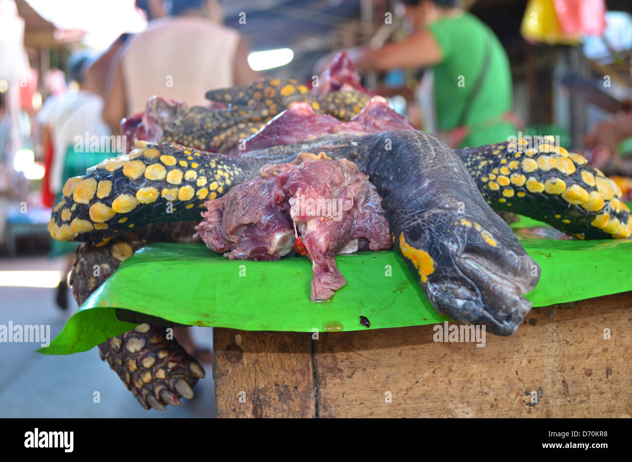 Schildkrötenfleisch auf Belen Markt. Iquitos, Peru Stockfoto