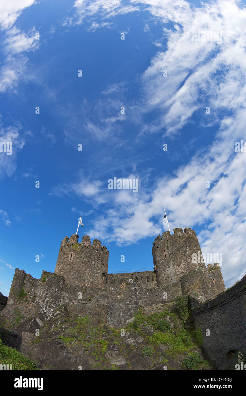 UK, North Wales, Gwynned, Conwy mittelalterliche Burg im Sommer Stockfoto