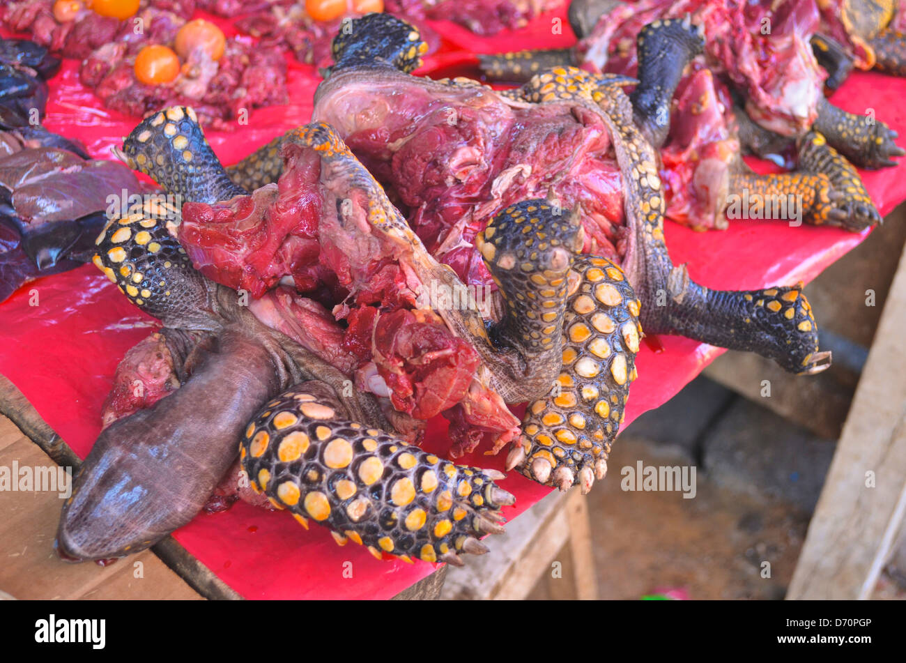 eine abgeschlachtet Schildkröte liegt auf einem Metzger Zähler in Iquitos, Peru Stockfoto
