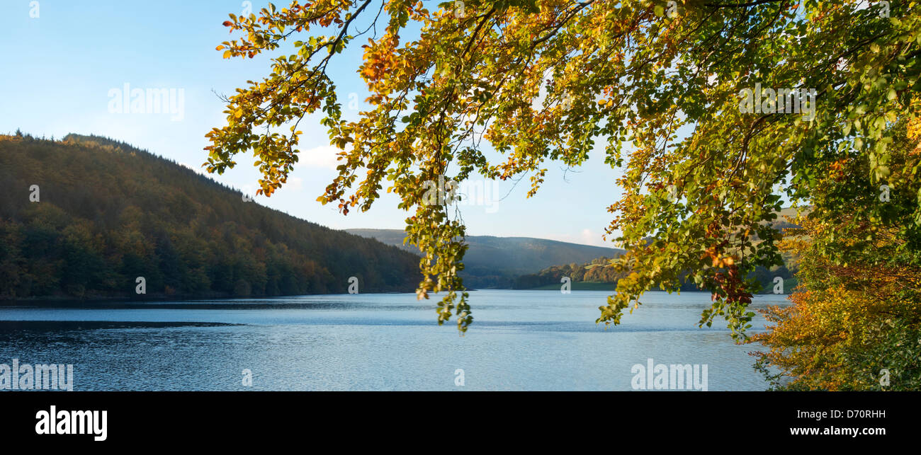 Blick auf Ladybower Vorratsbehälter und Herbst Bäume, der Peak District National Park. Stockfoto