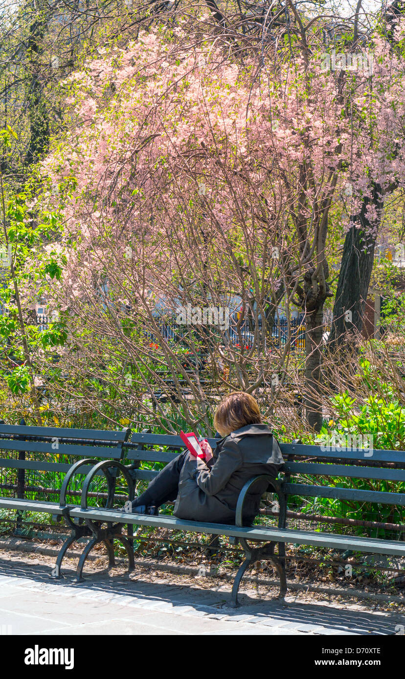 Junge Frau auf einer Bank im Central Park auf einem e-Reader lesen Stockfoto