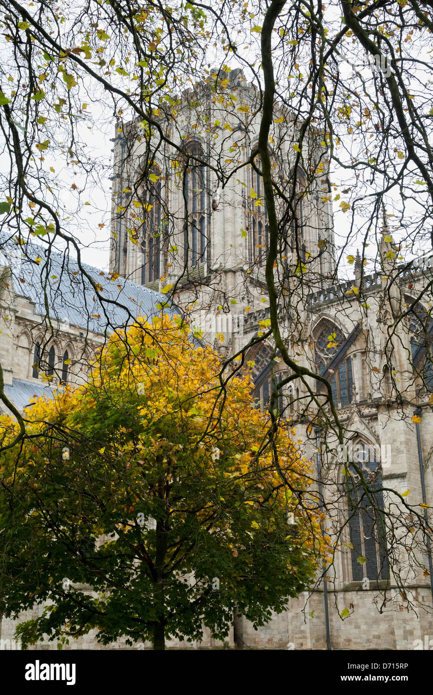 UK, York, Herbstfarben rund um Yorkminster Stockfoto