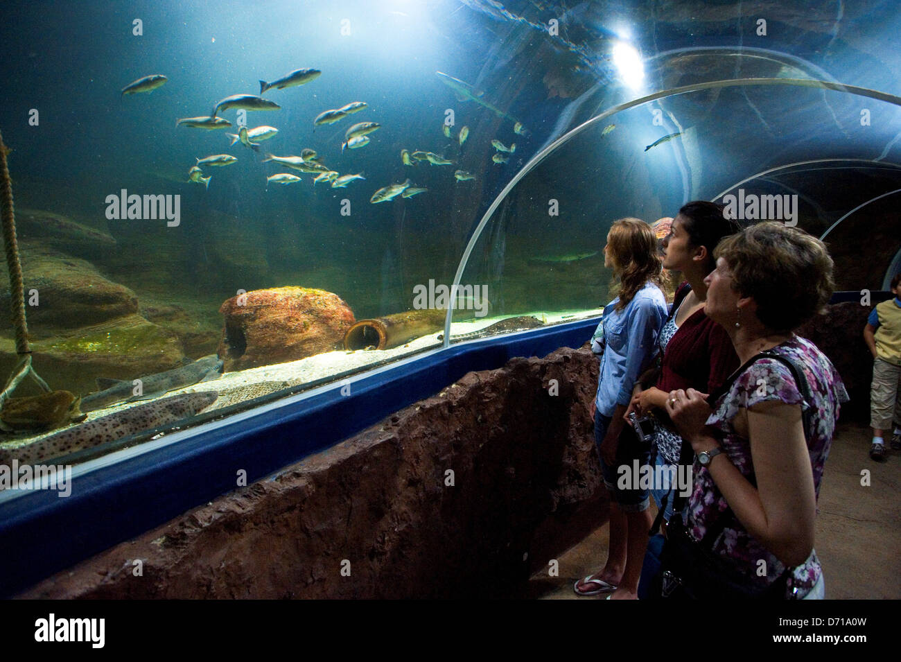 Aquarium Schleswig Holstein
