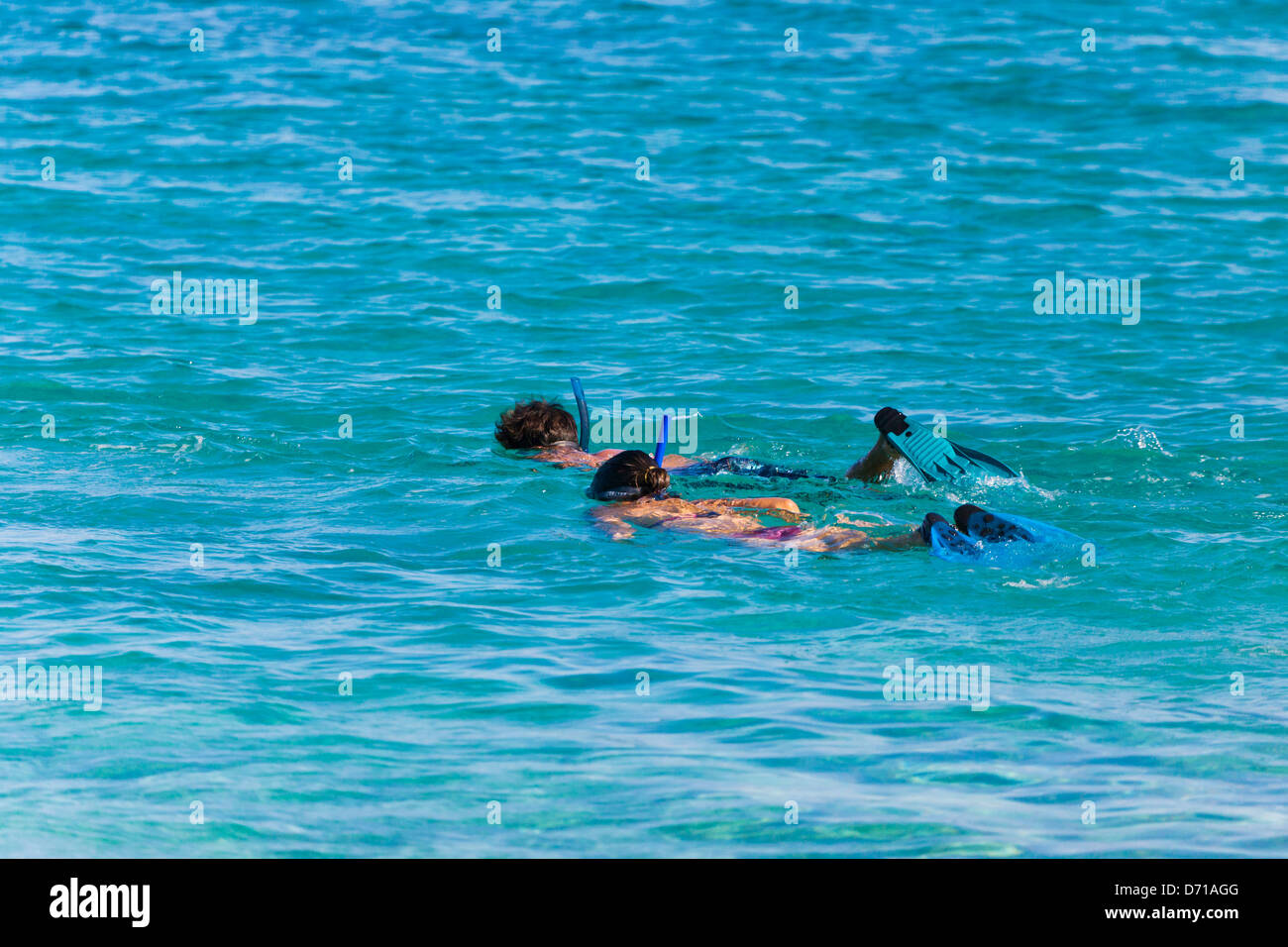 Leute Schnorcheln im Meer, Nosy Komba, Madagaskar Stockfoto
