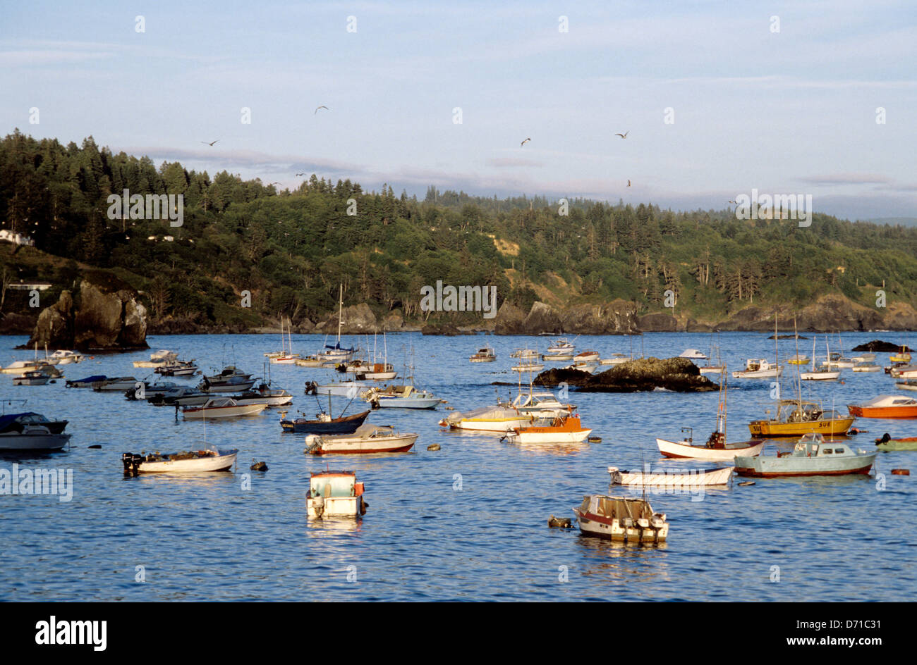 Sportboote und Angelboote/Fischerboote Teilen in Trinidad Bay in Humboldt Kalifornien in der Nähe von Eureka-safe-harbor Stockfoto