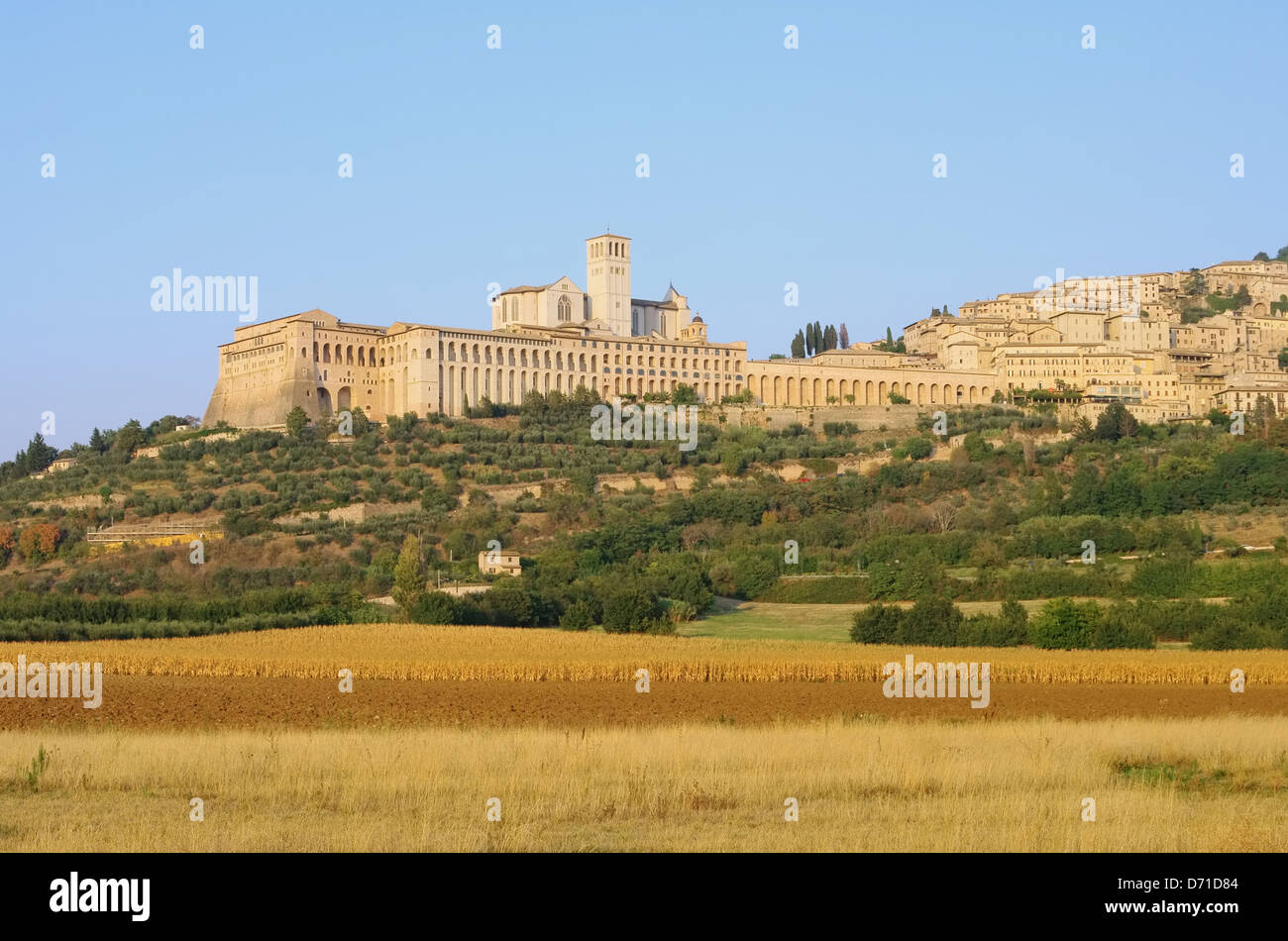 Assisi 17 Stockfoto