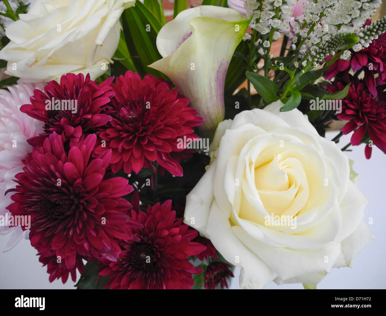 Blumen Blumenstrauß Bündel geschnitten Karte Blume display Stockfoto