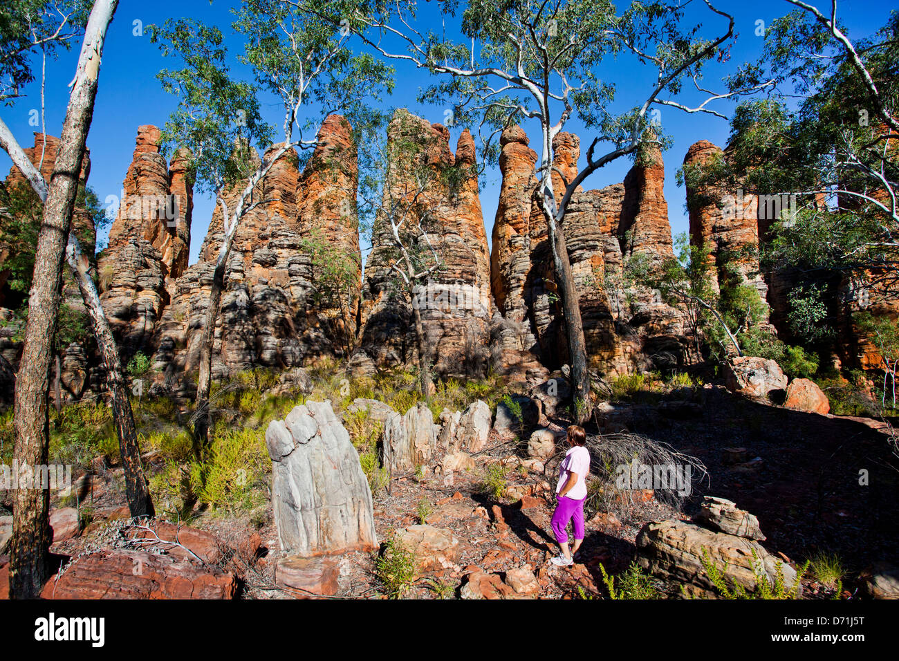 Australien, Northern Territory, Limmen Nationalpark, südlichen Lost City Stockfoto
