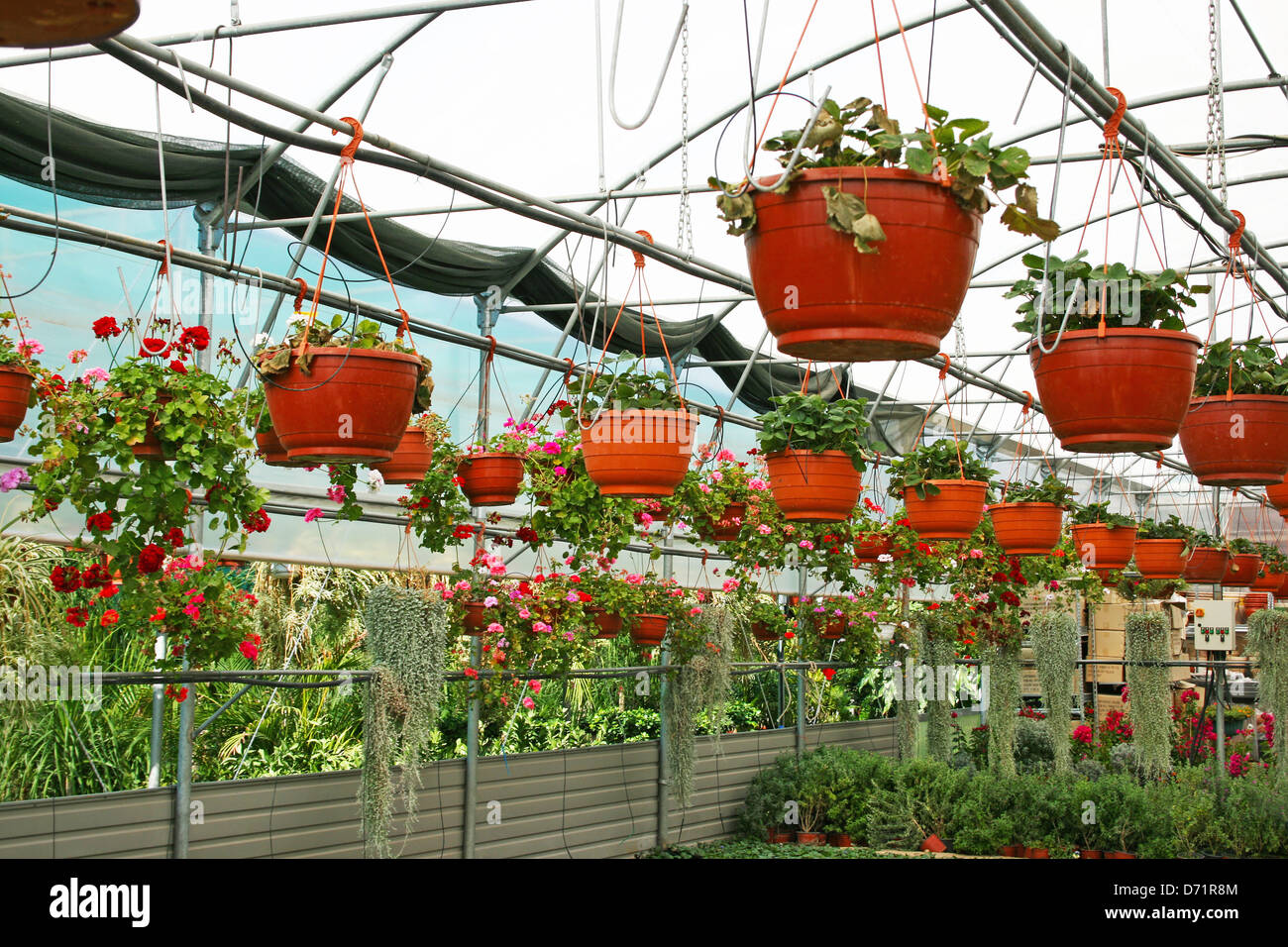Plantage-Haus mit bunten Blumen in Zypern. Stockfoto