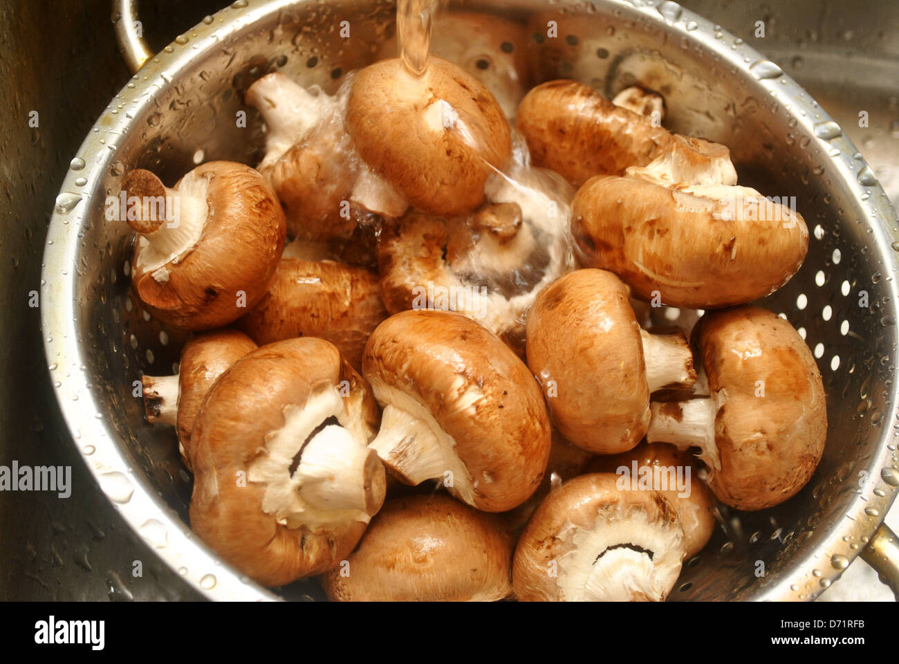 Nahrhafte Portabella Pilze waschen Stockfoto