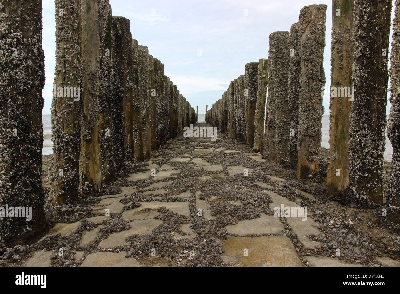 Wellenbrecher aus Holzpfählen und Steinen am Strand gemacht. Stockfoto