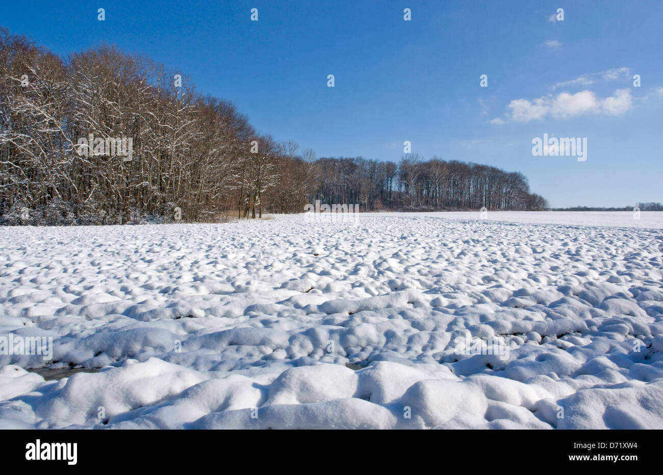verschneiten Landschaft im Winter in Hohenlohe, einem Gebiet in Süddeutschland Stockfoto